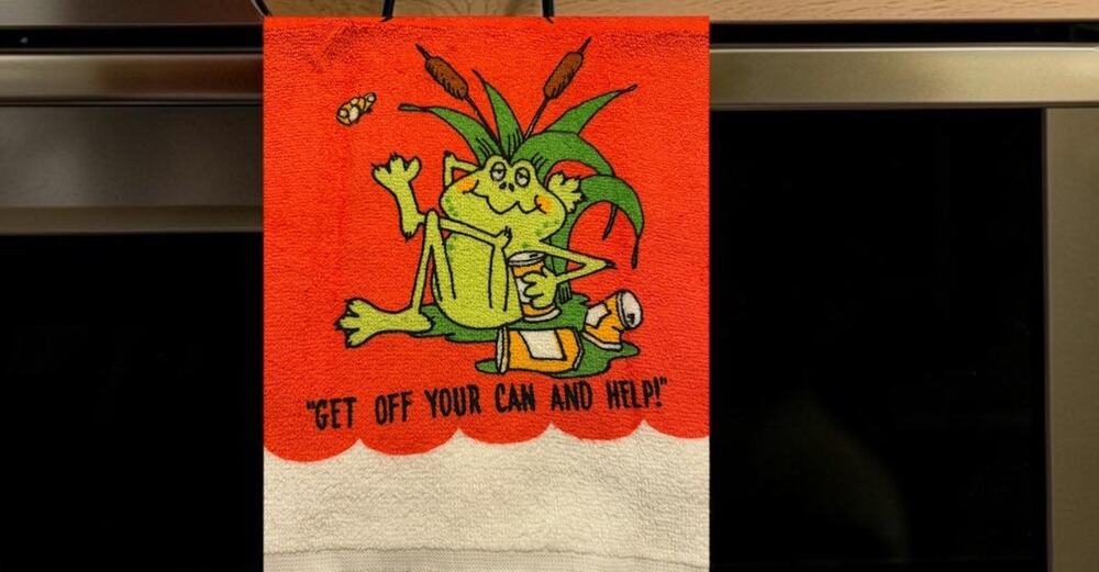 NEW Vintage Gibson 70's Fun Comic Retro Graphic Frog Fringe Dish Towel